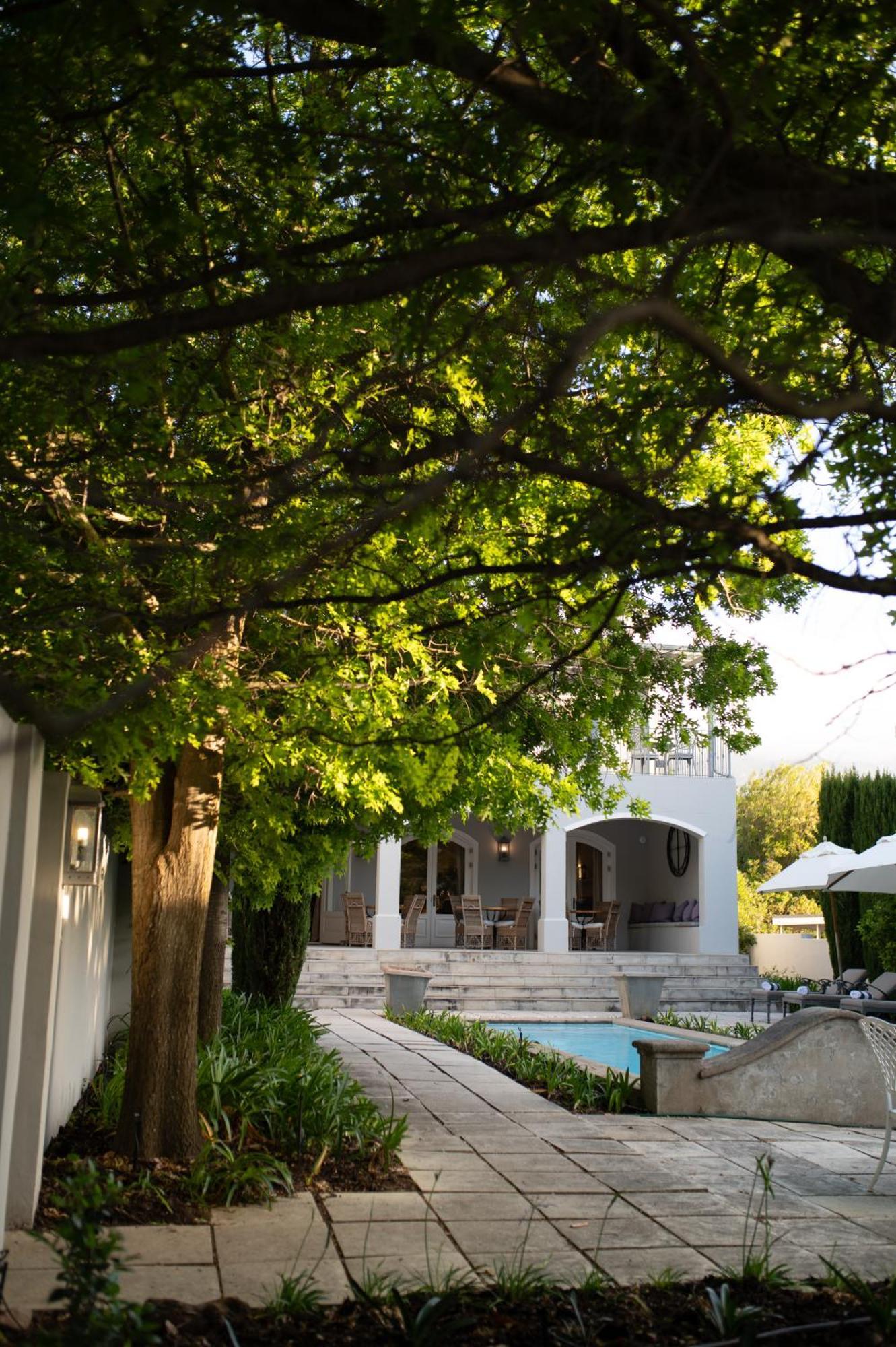 Maison D'Ail Guest House Franschhoek Exteriör bild